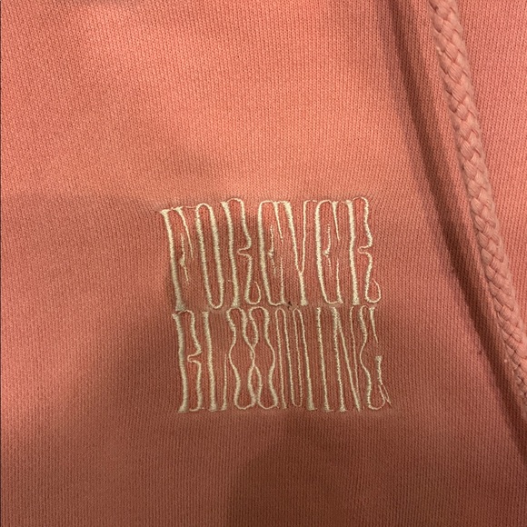 PacSun Warm Coral Hoodie - Picture 2 of 6